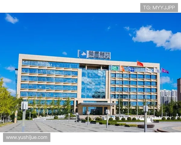 凯发集团简介资料：企业荣誉、资质认证及品牌影响力展示