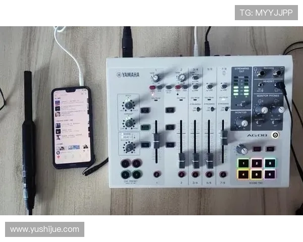 如何确保AG旗舰厅登录线路的安全性与稳定性，专家安全监测分析
