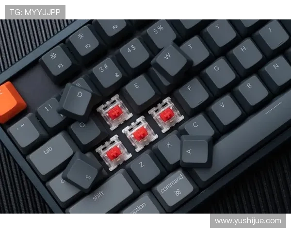 k8旗舰厅官网快捷登录支持多设备多平台同步登录体验更顺畅