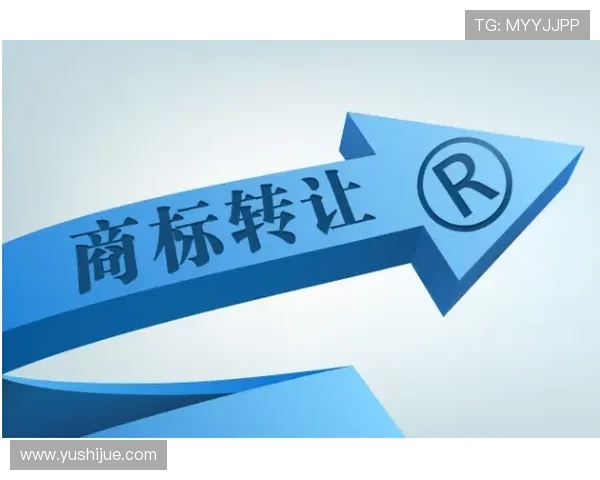 如何在凯发首页地址成功注册商标保障品牌权益的实用技巧