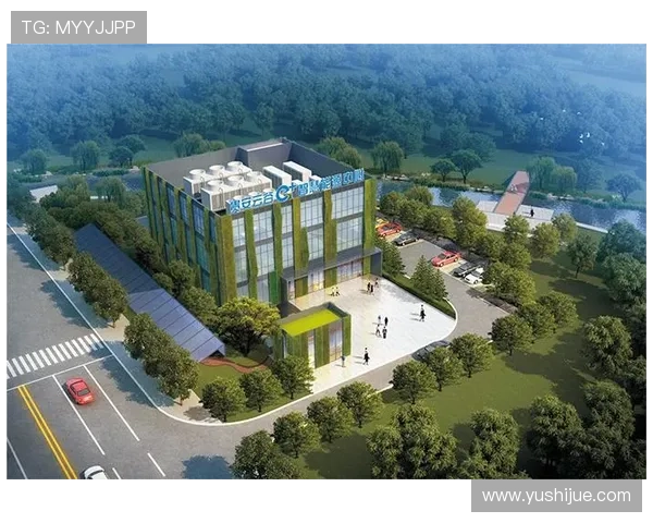 深入了解K8凯发集团娱乐平台的安全系统，保障每一位玩家的资金与个人信息安全